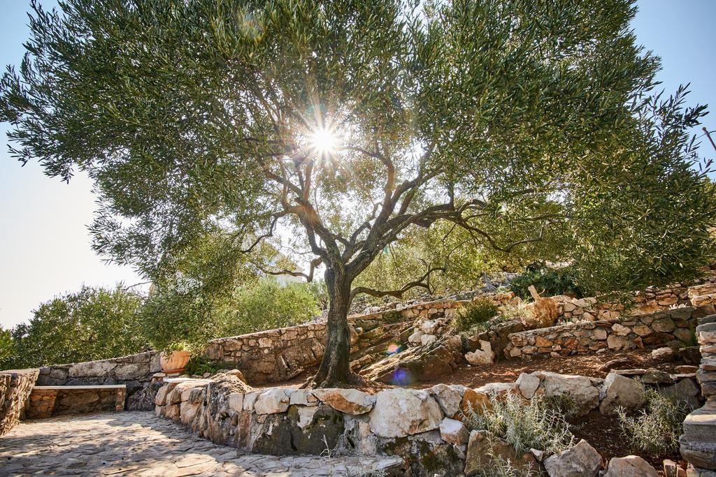 Kuca Gaspar Villa Dubrava  Dış mekan fotoğraf